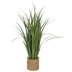 BUNCH LIN POT NATUREL ZYA H.91CM