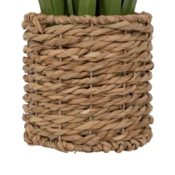 BUNCH LIN POT NATUREL ZYA H.91CM