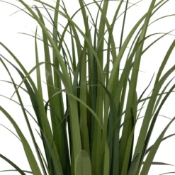 BUNCH LIN POT NATUREL ZYA H.91CM