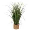 BUNCH LIN POT NATUREL ZYA H.122CM