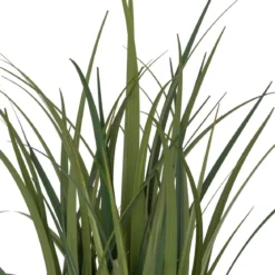 BUNCH LIN POT NATUREL ZYA H.122CM