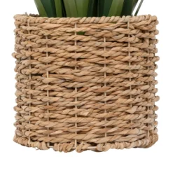 BUNCH LIN POT NATUREL ZYA H.122CM