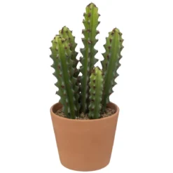 CACTUS POT TERRACOTTA ALICANTE H.25CM