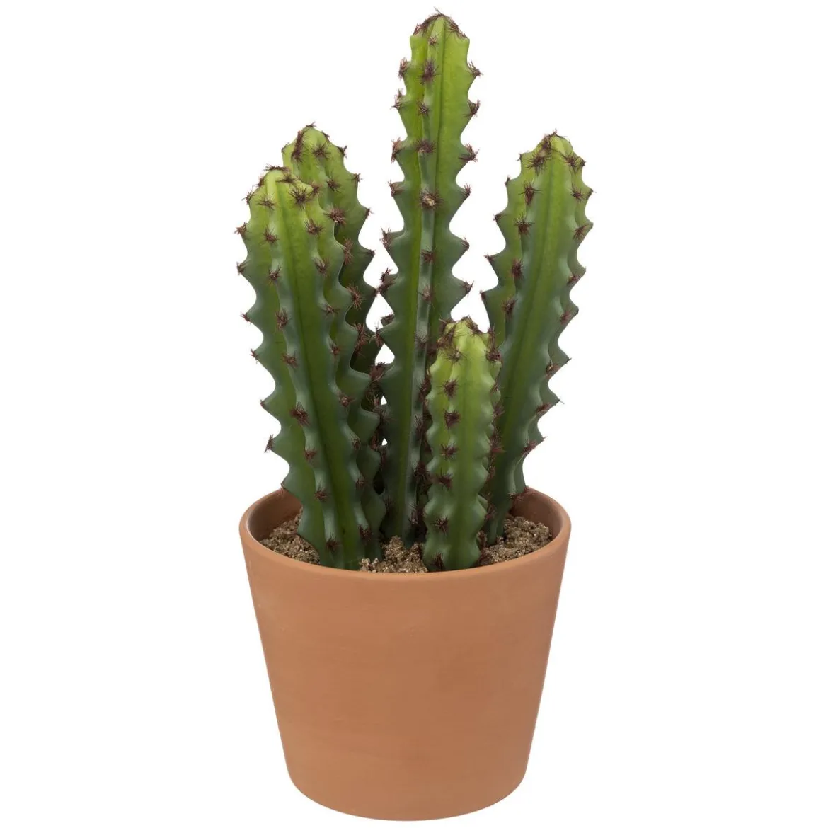 CACTUS POT TERRACOTTA ALICANTE H.25CM