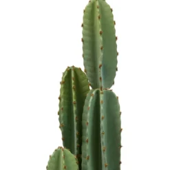 CACTUS 3 TRONCS POT BLANC SIEN H.132CM