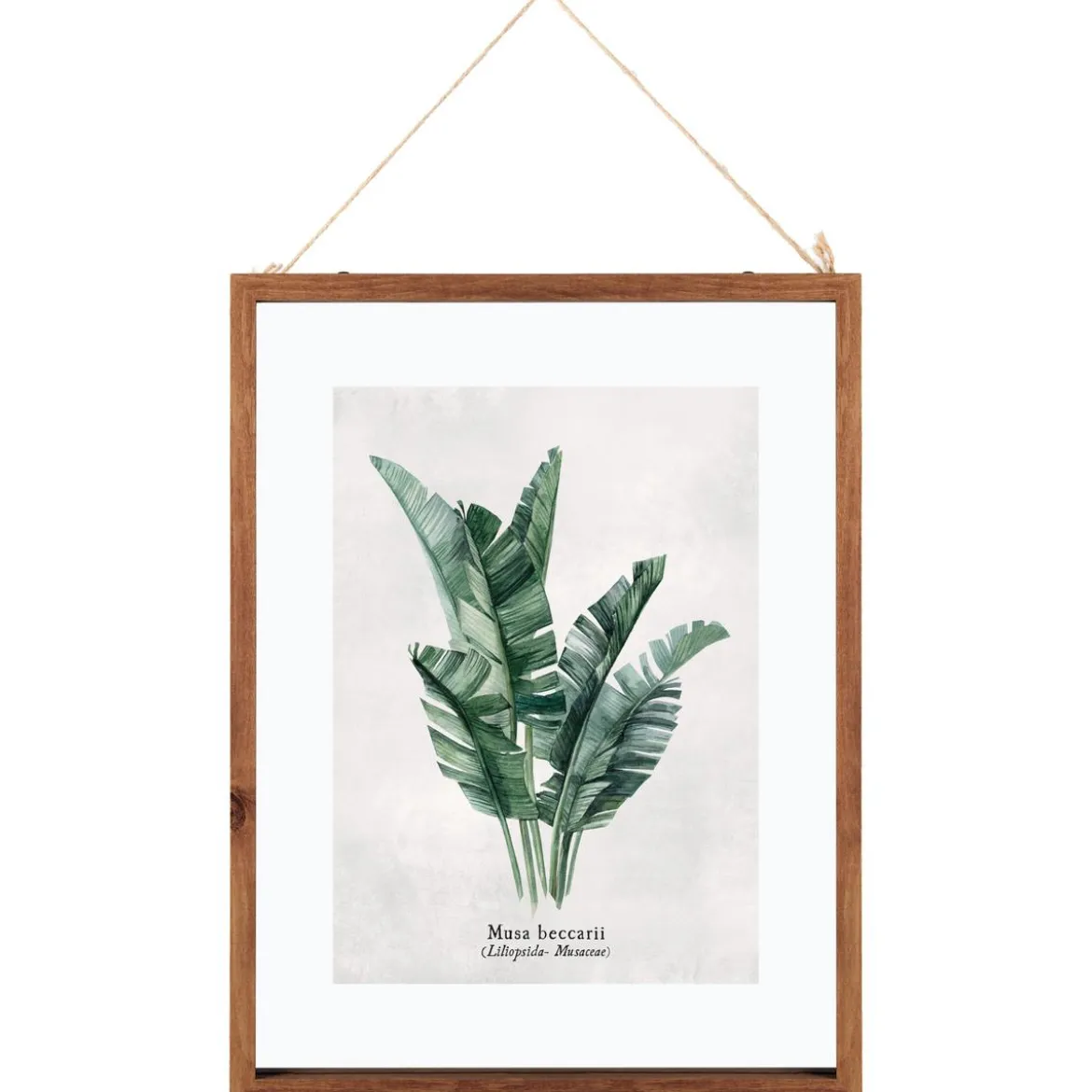 CADRE VERRE FEUILLES 38X48CM