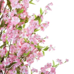 CERISIER ROSE H.200CM