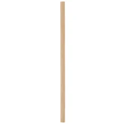 CHOPE BAMBOU PALM 40CL
