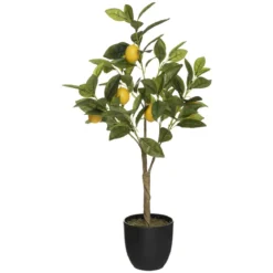 CITRONNIER EN POT CERZA H.70CM