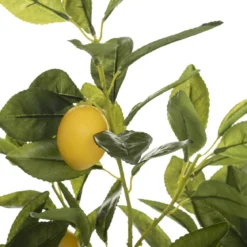 CITRONNIER EN POT CERZA H.70CM