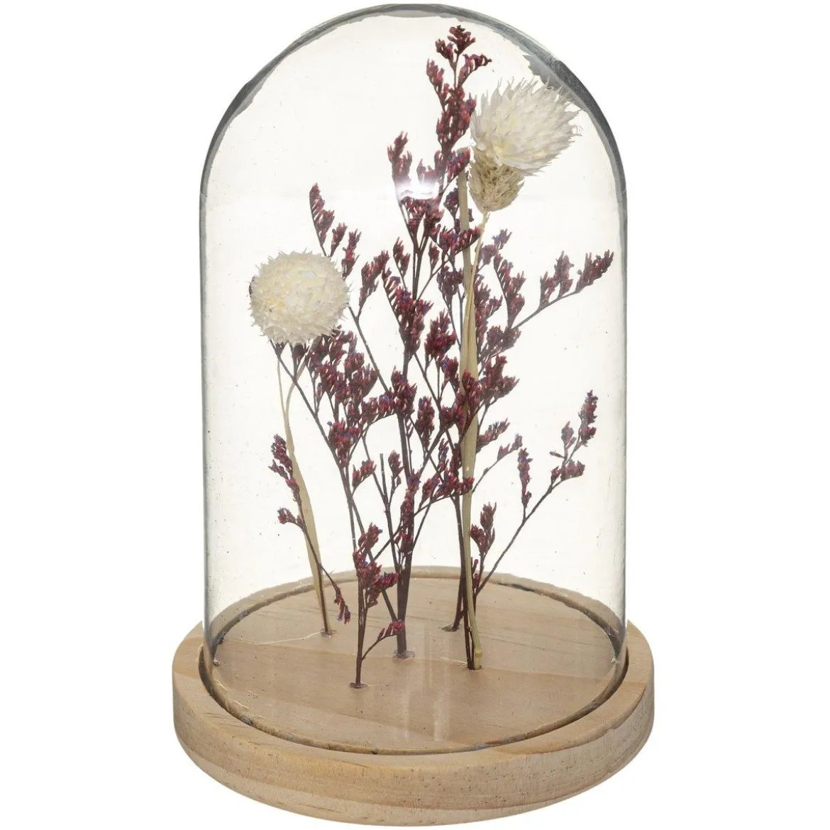 CLOCHE FLEUR SECHEE GYPSOPHILE H.17CM