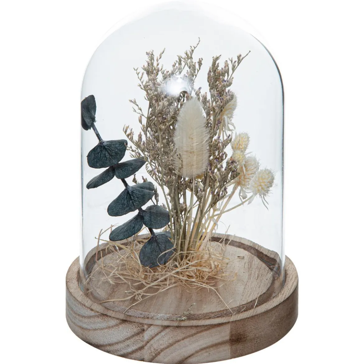 CLOCHE FLEUR SECHE HOUSE H.16.5CM
