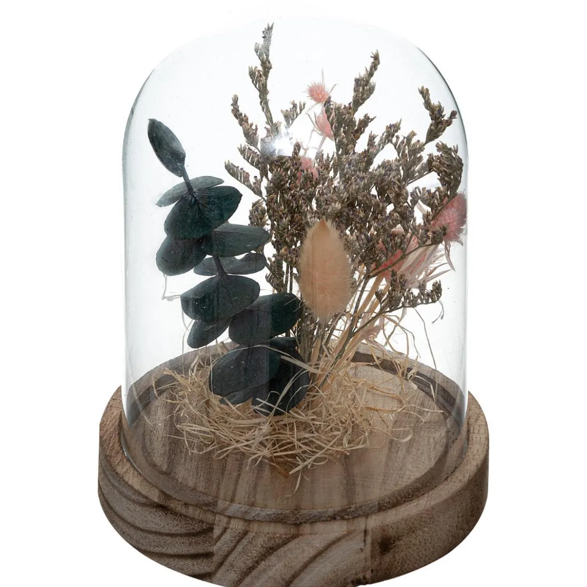 CLOCHE FLEUR SECHE HOUSE H.16.5CM