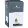 CLOCHE VERRE SOCLE BOIS H.19CM