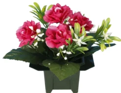 COLUMBARIUM POT DE ROSETTES