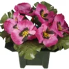 COLUMBARIUM POT PENSEES