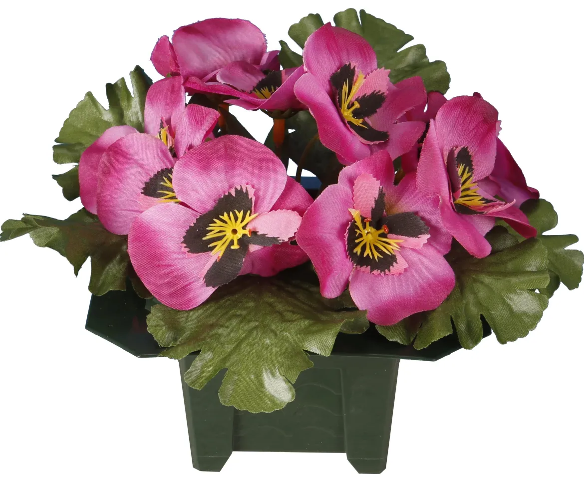 COLUMBARIUM POT PENSEES