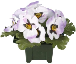 COLUMBARIUM POT PENSEES