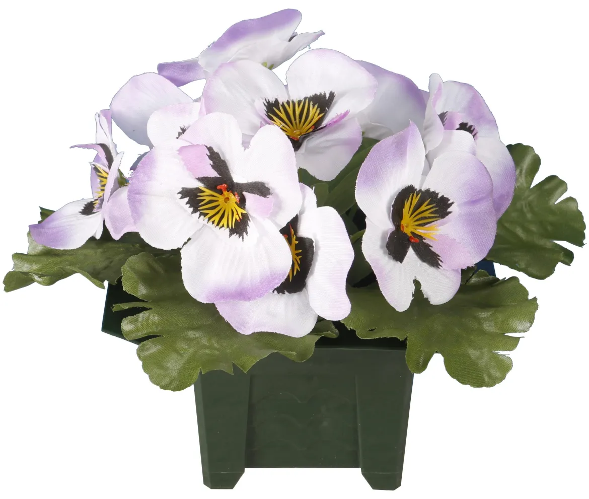COLUMBARIUM POT PENSEES