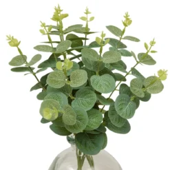 COMPOSITION EUCALYPTUS VERRE URICE H.35CM