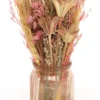 COMPOSITION FLEURS SECHEES POT
