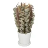 COMPOSITION FLEURS SECHEES POT CERAMIQUE