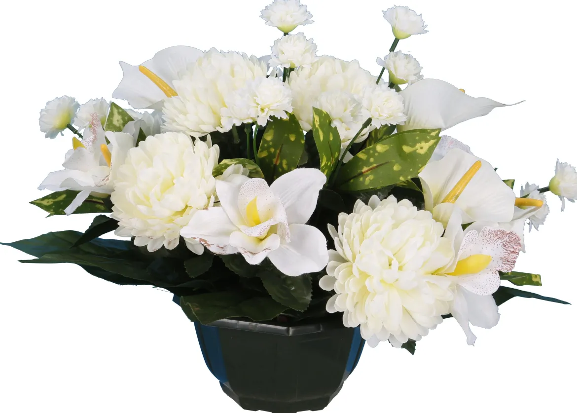 COUPE CHRYSANTHEME CALA ORCHIDEE