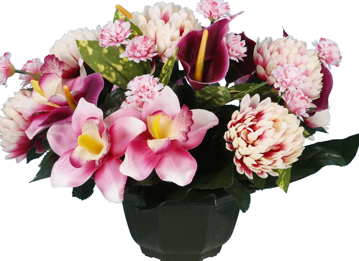 COUPE CHRYSANTHEME CALA ORCHIDEE