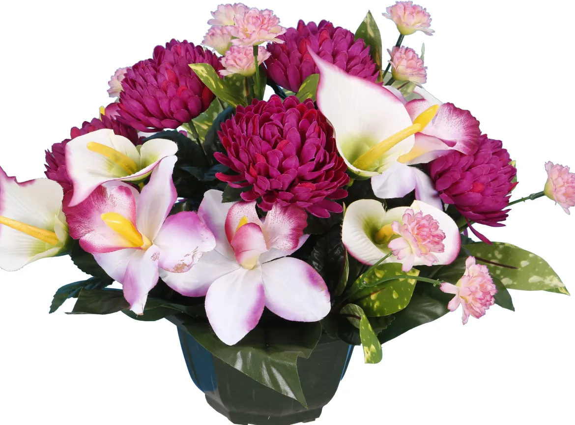 COUPE CHRYSANTHEME CALA ORCHIDEE
