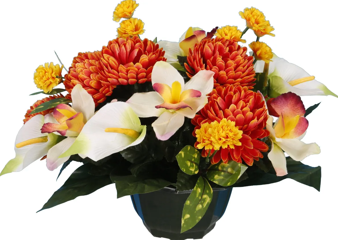 COUPE CHRYSANTHEME CALA ORCHIDEE