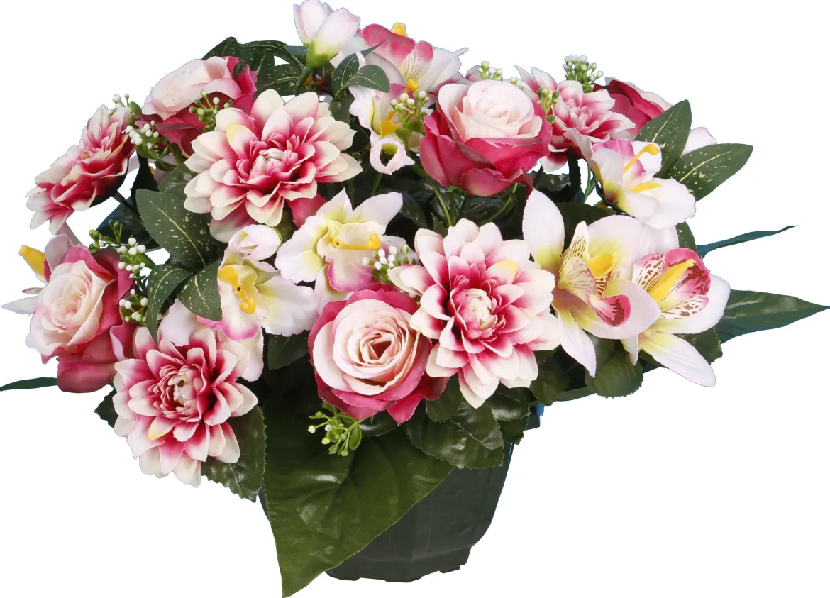 COUPE DAHLIA ROSETTE ORCHIDEE