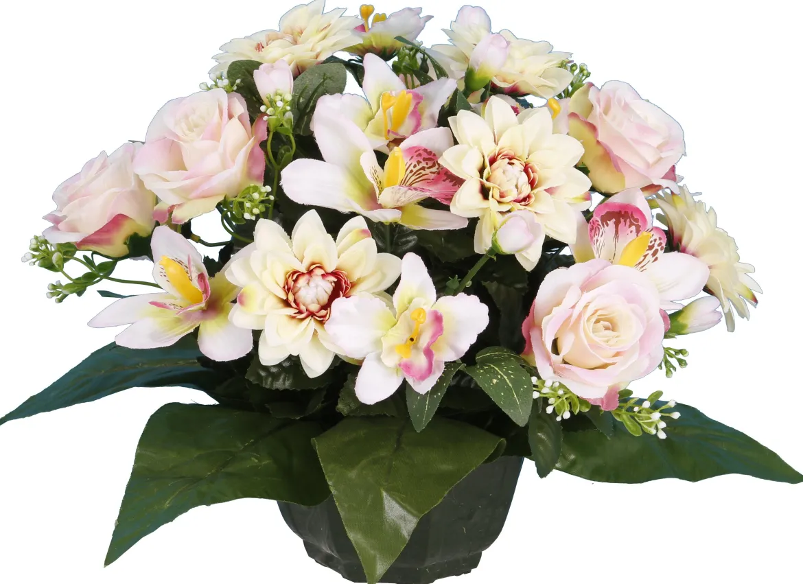 COUPE DAHLIA ROSETTE ORCHIDEE