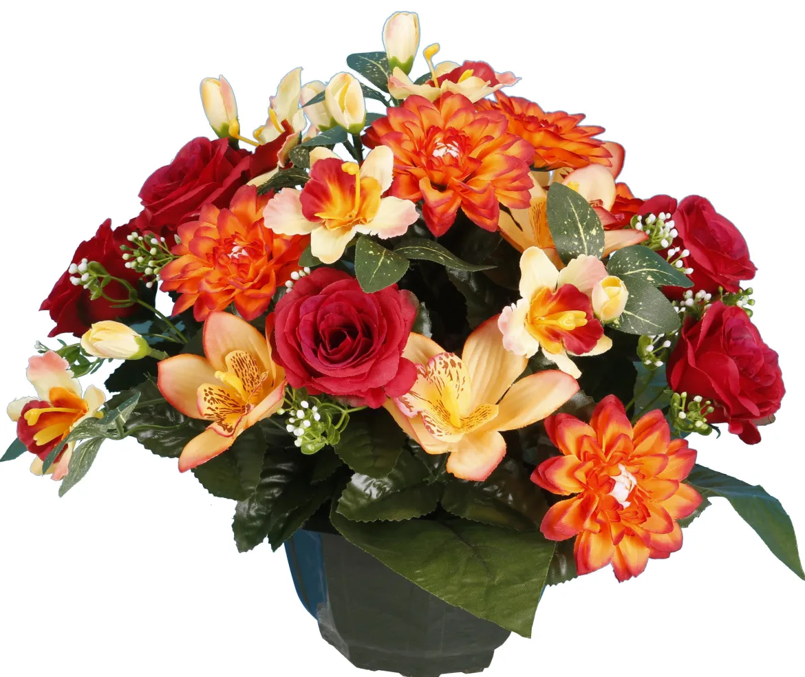 COUPE DAHLIA ROSETTE ORCHIDEE