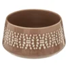 COUPELLES TROPIQUES 13.5CM