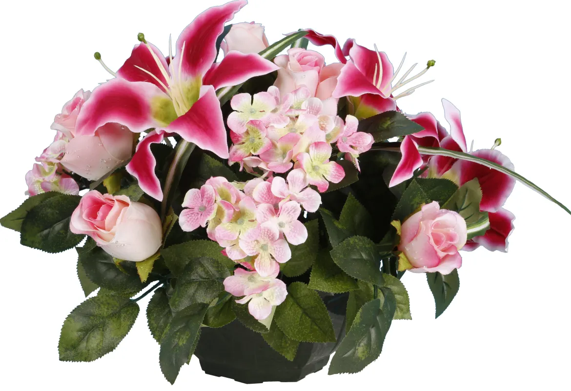 COUPE LYS HORTENSIA