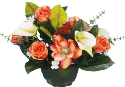 COUPE MAGNOLIA BOUTON ROSE ARUM