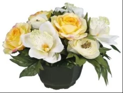 COUPE RENONCULE ROSE GOUTTES EAU