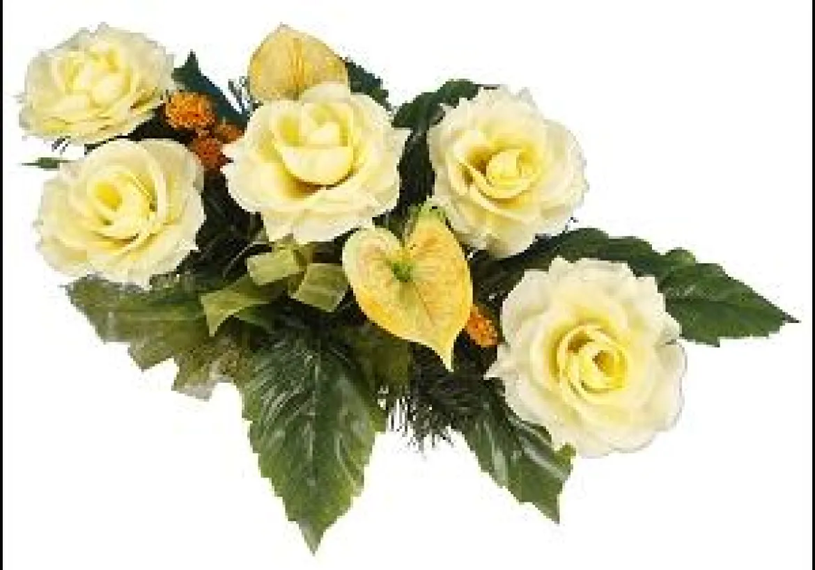 COUPE ROSE ARUM LONGUEUR 60CM