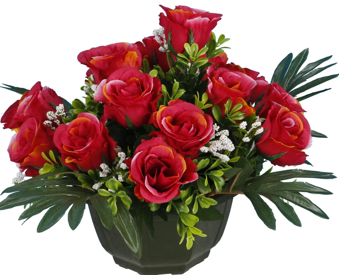 COUPE ROSETTES
