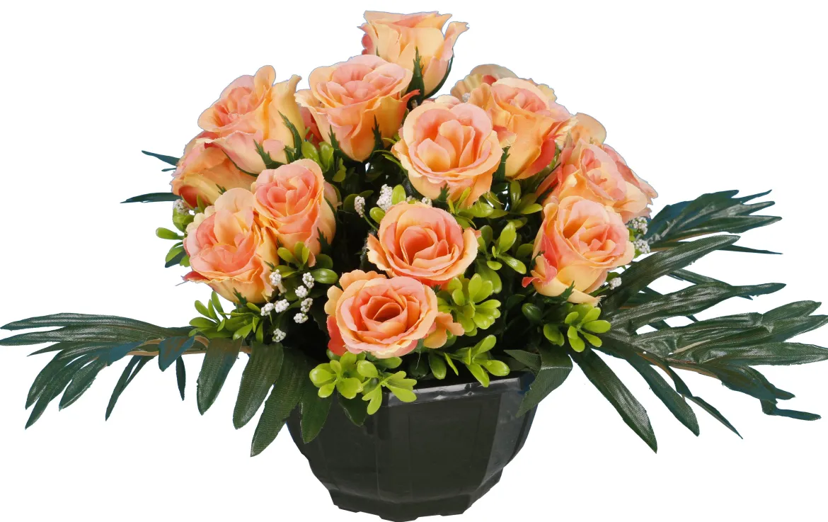 COUPE ROSETTES