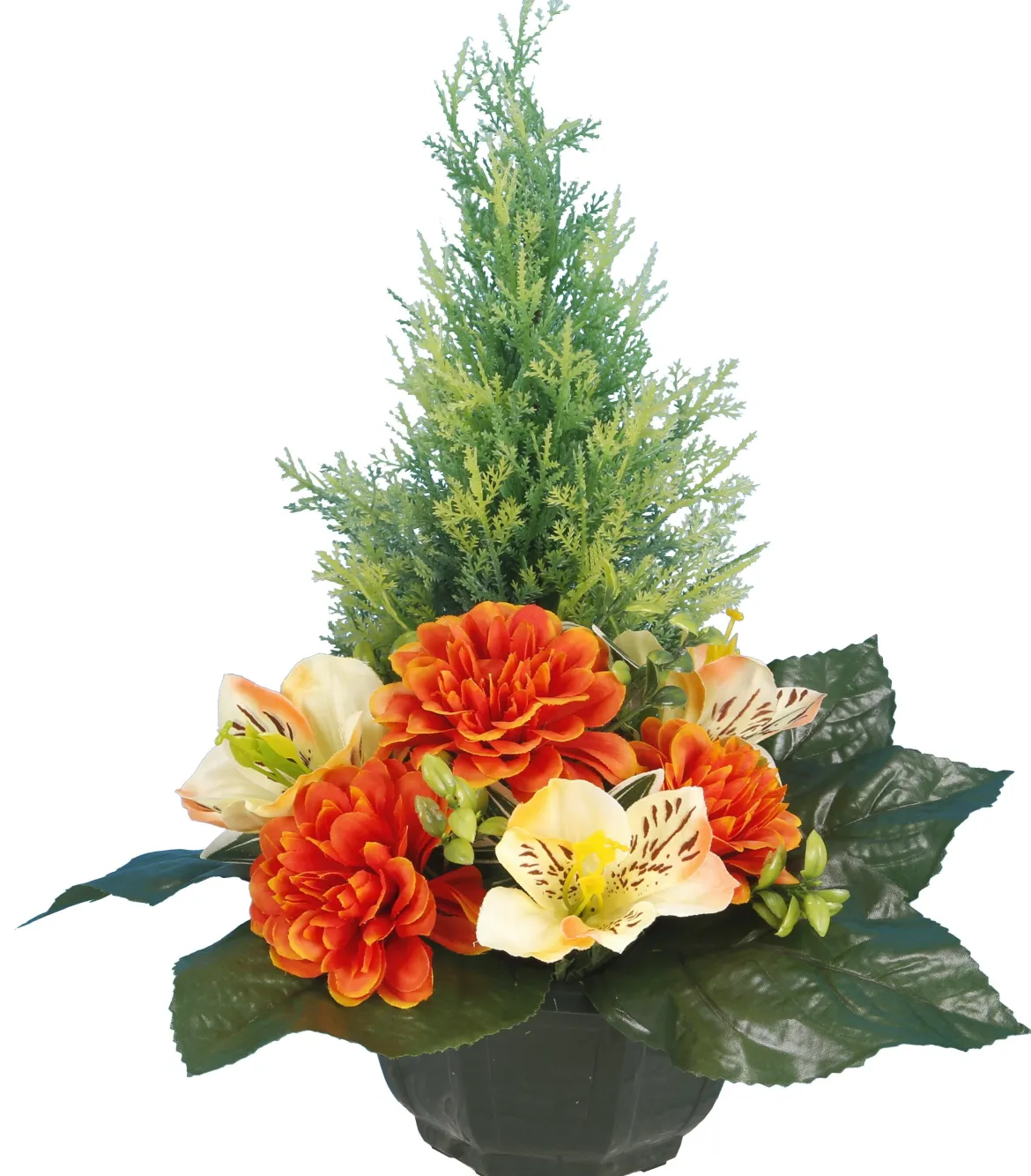 COUPE ZINNIAS ORCHIDEES TUYAS