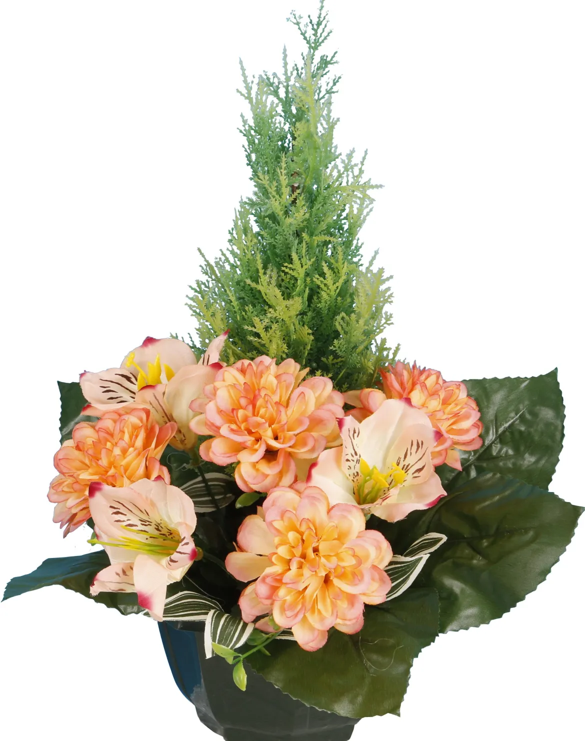 COUPE ZINNIAS ORCHIDEES TUYAS