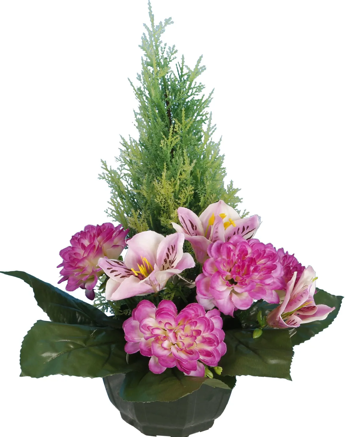 COUPE ZINNIAS ORCHIDEES TUYAS