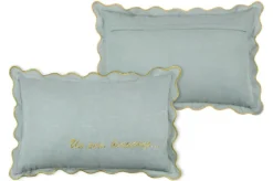 COUSSIN CARPEDIEM VERT 40X60CM