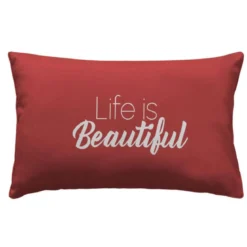 COUSSIN DEHOUSSABLE 40X60CM DEPERLANT BEAUTIFUL