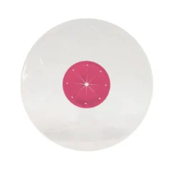 COUVERCLE ANTI PROJECTION 30CM