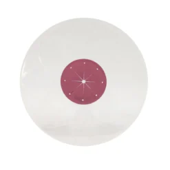 COUVERCLE ANTI PROJECTION 30CM