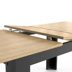 CRAFT TABLE 160-200X90CM AVEC ALLONGE