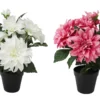 DAHLIA 8 FLEURS POT PLASTIQUE NOIR H.42CM BLANC ET ROSE