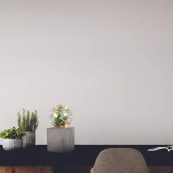 DECORATION LUMINEUSE A POSER PLANTE
